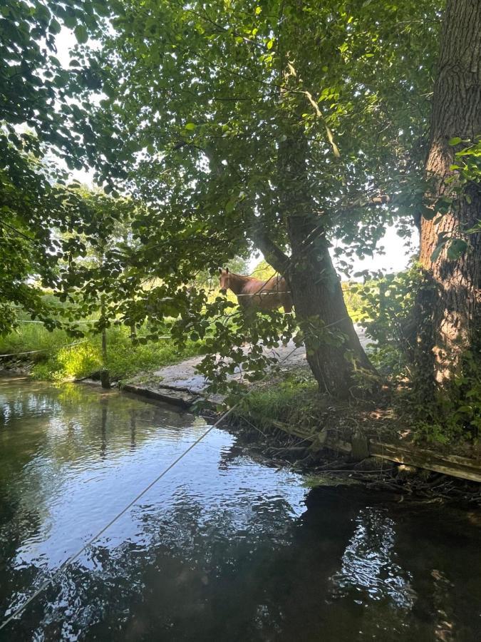Gîte   le Moulin   à 2 pas de la mer Saint-Martin-le-Gaillard Esterno foto